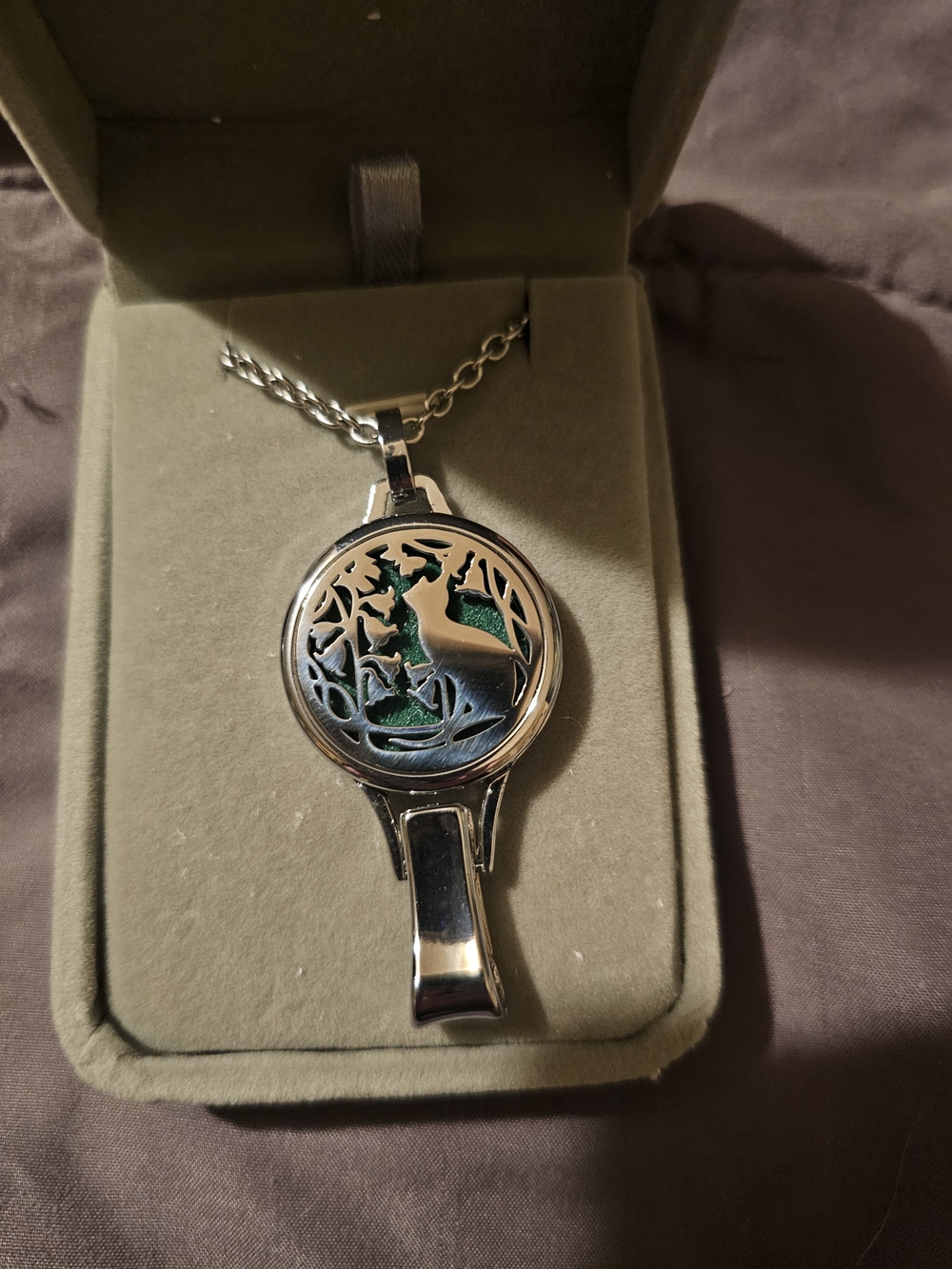 Dotiow New in Box (Never Used) aromatherapy locket